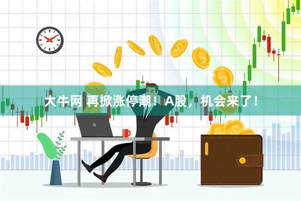 大牛网 再掀涨停潮！A股，机会来了！