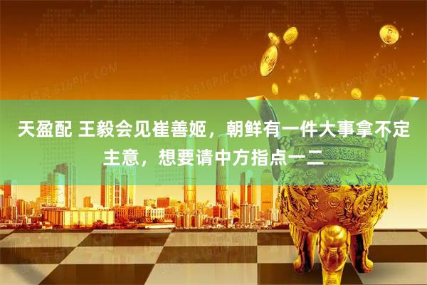 天盈配 王毅会见崔善姬，朝鲜有一件大事拿不定主意，想要请中方指点一二